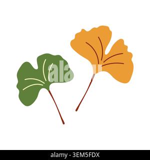 Foglie di Ginkgo biloba nei colori verde e giallo elemento autunnale vettoriale Illustrazione Vettoriale