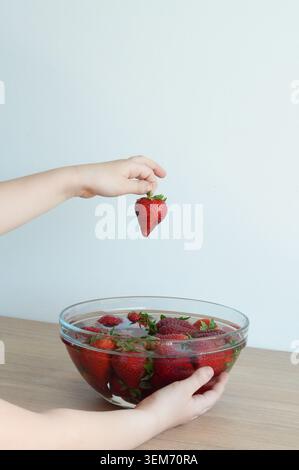 Fragole in una ciotola di vetro nelle mani di un bambino. Un bambino sta tenendo le fragole. Foto Stock