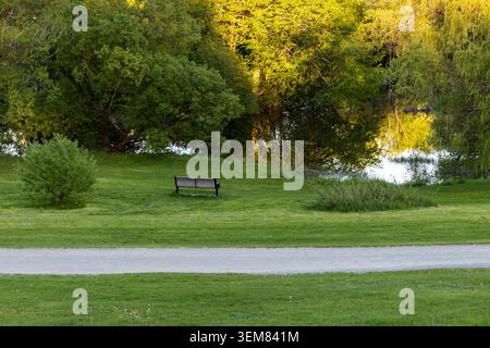Una panchina vuota in legno del parco seduta su un prato verde vicino al bordo di un laghetto calmo che riflette la luce del sole del tardo pomeriggio sugli alberi. Foto Stock