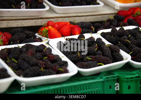 Gelsi e fragole fresche disposte in vassoi del mercato presso uno stand di prodotti locali. Colorate bacche di stagione mostrano l'agricoltura biologica, nutrienti sani Foto Stock