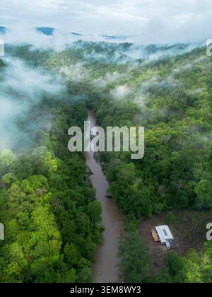 Vista aerea del tortuoso fiume che scorre attraverso la foresta verde con una fitta nebbia, con una piccola cabina nella valle profonda, che cattura il tranquillo paesaggio selvaggio Foto Stock