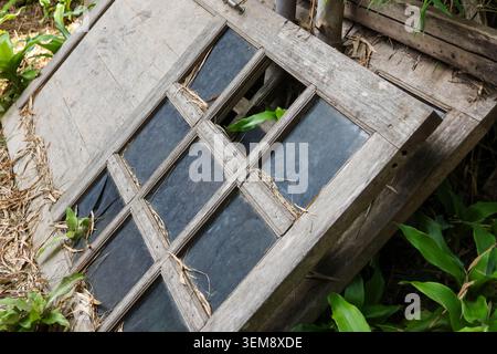 Vecchio telaio rotto della finestra in legno con vetro frantumato adagiato su erba verde in giardino trascurato sul retro, evocando una malinconica sensazione di decadimento abbandonato Foto Stock