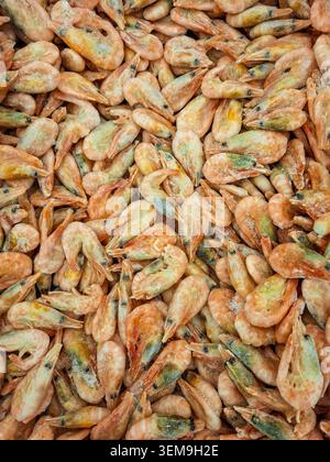 Una vista mostra i gamberetti di acqua fredda interi non sbucciati congelati in un congelatore di un negozio di alimentari. Questo ambiente rivela una scelta di pesce fresco disponibile per i clienti Foto Stock