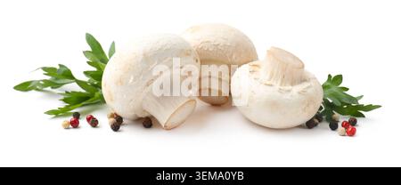 Tre funghi champignon freschi, prezzemolo e grani di pepe isolati su bianco Foto Stock