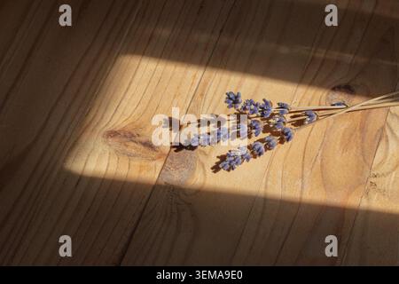 Fiori di lavanda secchi su fondo in legno Foto Stock