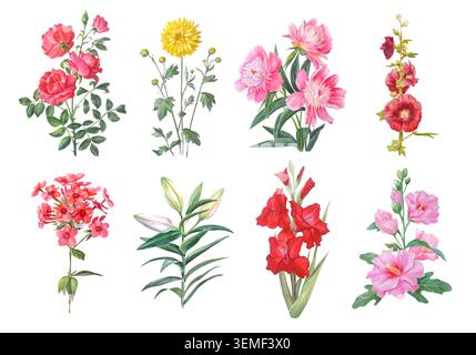 Set di acquerelli di rosa, crisantemo, peonia, malva, phlox, lily, gladiolus e ibisco fiori con foglie verdi. Illustrazione botanica disegnata a mano Foto Stock