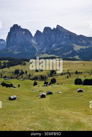 Alpe di Siusi, Alpe di Siusi, Dolomiti Alpi, Italia Foto Stock