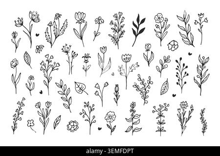 Set di scarabocchi per fiori disegnati a mano. Collezione di semplici schizzi botanici per la progettazione. Icone floreali ed elementi vegetali diverse erbe di campo per decorazione, invito di nozze, biglietto d'auguri, confezione Illustrazione Vettoriale