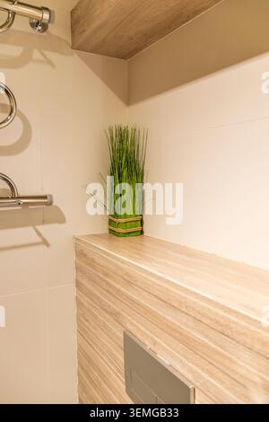 Bagno moderno Dettagli interni con piastrelle decorative in legno e erba verde Foto Stock