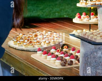 Stuzzichini e tartine assortiti serviti su una tavola di legno durante un evento di catering in Francia. Foto Stock