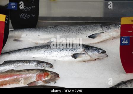 Il salmone fresco fresco e freddo è su ghiaccio. Vetrina con prodotti ittici Foto Stock