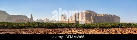 Un ampio paesaggio panoramico caratterizzato da una lussureggiante oasi verde di palme circondata da spettacolari formazioni rocciose di arenaria sotto un cielo azzurro cristallino ad Alula, Arabia Saudita. Foto Stock