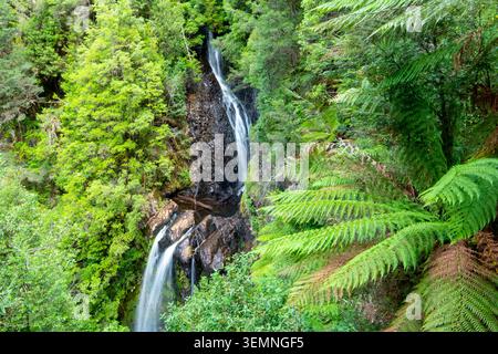 Cascate Philosopher a Waratah - Tasmania Foto Stock