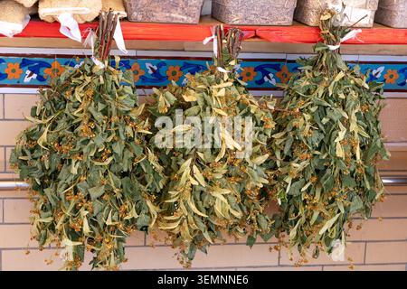 Le tradizionali ginestre secche della sauna linden Banya con fiori appesi in un bazar orientale. Autentico benessere dell'Asia centrale e spa alle erbe Foto Stock