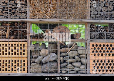 Ecosistema di insetti. Casa di insetti nel giardino estivo. Bug hotel. Riparo per insetti all'aperto. Foto Stock