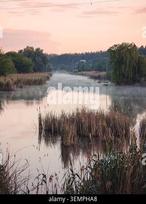 Alba con nebbia mattutina sul fiume. Vista verticale di un fiume calmo coperto di nebbia mattutina sotto un morbido cielo rosa all'alba, incorniciato da canne selvagge. Foto Stock