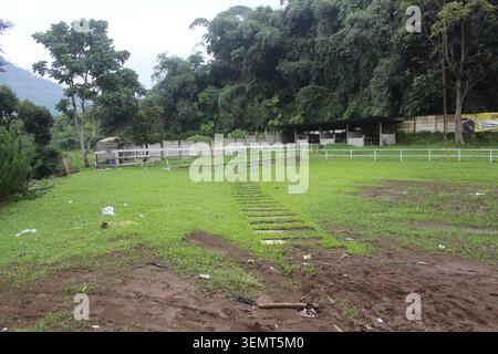 Ampio campo erboso verde con una recinzione bianca che conduce a edifici lontani, circondato da fitti alberi verdi. Foto Stock