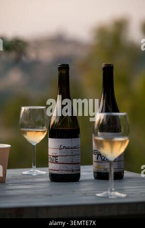 Due bottiglie di vino naturale siciliano, tra cui le etichette e-Migrante e generazione, si stagliano su un rustico tavolo di legno accanto a due bicchieri pieni di bianco Foto Stock