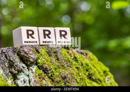I blocchi di legno con testo riducono il riutilizzo riciclare su un tronco di alberi mossy nella foresta. 3R gerarchia di gestione dei rifiuti e concetto di sostenibilità Foto Stock