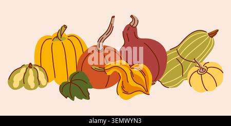 Composizione lineare con varie zucche decorative e commestibili in fila, raccolta autunnale urobaya, ingredienti per il Ringraziamento Illustrazione Vettoriale