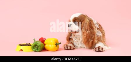 Cane spaniel Cavalier re charles con ciotola di cibo secco e peperoni freschi su sfondo rosa, nutrizione degli animali domestici e abitudini alimentari sane per cani Foto Stock