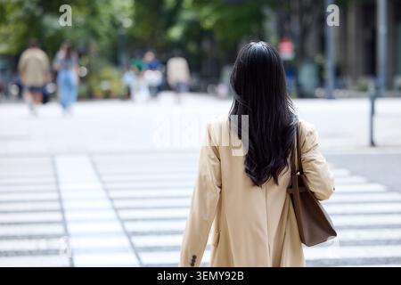 Vista posteriore di una donna d'affari giapponese che viaggia in città Foto Stock