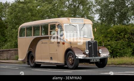 Stony Stratford, Bucks, Regno Unito - 7 giugno 2026: 1949 autobus Guy Wolf che guida su una strada britannica Foto Stock
