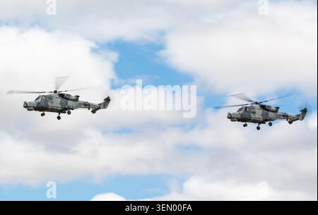 Black Cats mostra la squadra della Royal Navy alla RAF Fairford per RIAT 2025. Credit JTW Aviation Images / Alamy. Foto Stock