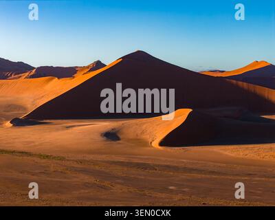 Dune 45 a Sossusvlei, deserto del Namib, Namibia sotto la calda luce dell'alba Foto Stock