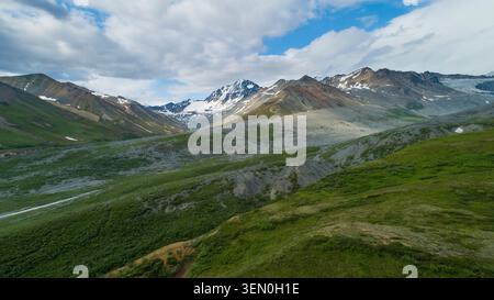 Maestoso paesaggio montano con lussureggianti valli verdi e vette innevate sotto un cielo nuvoloso. Isabel Pass, Alaska, Stati Uniti Foto Stock
