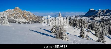 Paesaggio innevato con pini e montagne sotto un cielo azzurro. Foto Stock