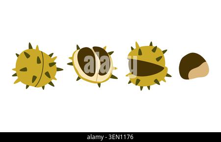 Set vettoriale di castagne autunnali fasi di apertura delle sementi forestali geometriche piatte isolate Illustrazione Vettoriale
