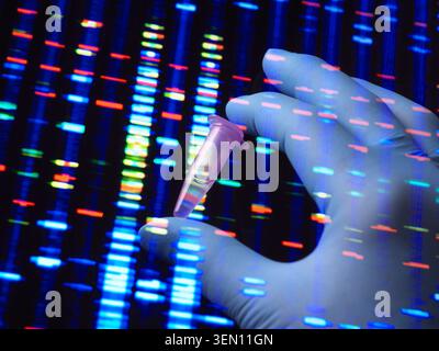 Mano con guanti che regge la provetta su uno sfondo di sequenziamento del DNA con barre blu e rosse. Foto Stock
