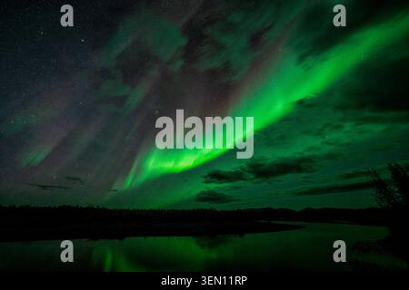 Le aurore verdi illuminano il cielo notturno su un lago scuro e riflettente circondato da alberi. Foto Stock