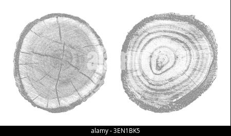 Struttura in legno naturale con motivo ad anello ad albero. Sezione trasversale che mostra le linee di crescita organica, illustrazione vettoriale della struttura a grana circolare irrigidita. Illustrazione Vettoriale
