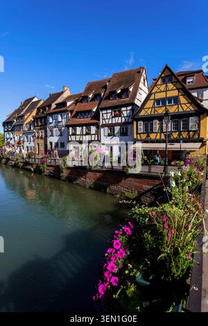 Case colorate a graticcio sul Quai de la Poissonnerie nella città vecchia di Colmar in Alsazia, Francia. Foto Stock