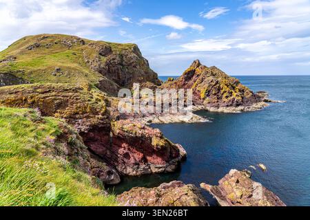 Riserva naturale di St Abbs in una brillante giornata estiva negli Scottish Borders, in Scozia, che mostra scogliere spettacolari e un vivace paesaggio costiero Foto Stock