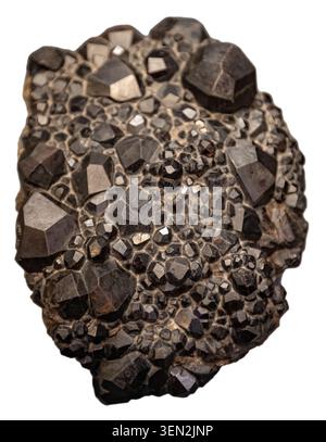 Un sorprendente esemplare geologico che mostra un denso ammasso di cristalli di granato naturali, dal marrone scuro al nero dodecaedro andradite, isolati su un bianco Foto Stock