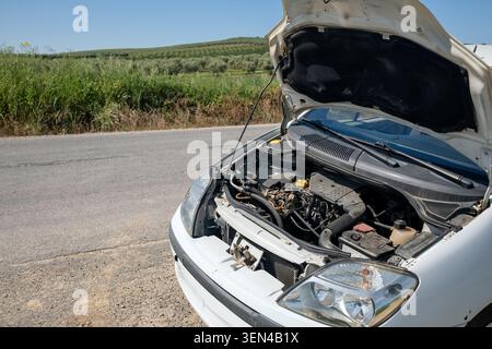 Guasto auto con cofano aperto su strada di campagna Foto Stock