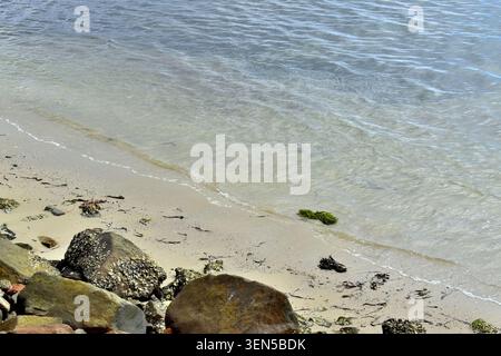 Le onde soffici si infrangono sulla spiaggia di sabbia chiara disseminata di alghe, conchiglie e detriti, mentre grandi rocce ricoperte di barnacle si trovano lungo la costa. Foto Stock
