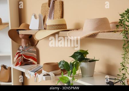 Eleganti cappelli di paglia e accessori estivi esposti sugli scaffali in un moderno ambiente boutique, il display presenta vari stili di cappello, tra cui wide-b Foto Stock