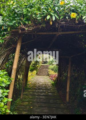 Sentiero in pietra sotto l'arco di bambù con vegetazione lussureggiante Foto Stock