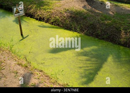 Un cartello di avvertimento sorge accanto a un canale coperto di alghe verdi presso il mercato delle noci di cocco (Kad Ba Paow) fattoria di cocco a Chiang mai, Thailandia Foto Stock
