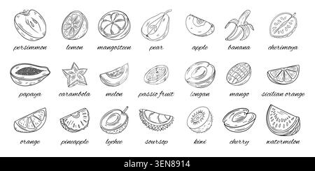 Illustrazione del contorno bianco e nero disegnato a mano della pagina di colorazione delle fette di frutta assortite. Arte della linea di frutta con agrumi e pezzi di frutta tropicale. Bambini a colori Foto Stock