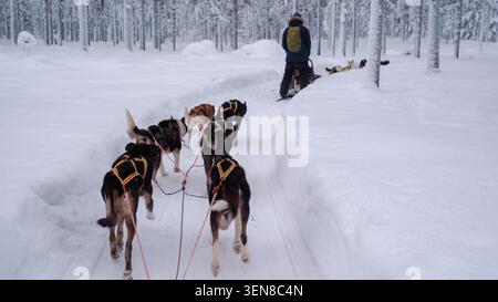 Esplora gli splendidi paesaggi innevati di Akaslompolo in Lapponia mentre i cani da slitta trainano un musher attraverso sentieri pittoreschi. Un'avventura perfetta per gli amanti dei viaggi invernali e gli amanti del brivido. Foto Stock