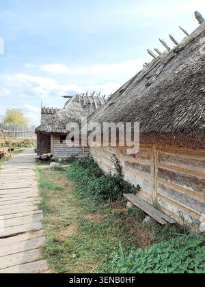 Reclaw, Polonia, 13.08.2022: Centro slavo e vichingo a Wolin-Reclaw. Tradizionali cottage in legno con tetto in paglia lungo una passerella in un ambiente rurale all'aperto Foto Stock