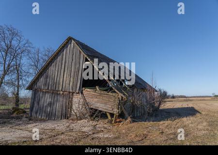 Fienile di legno abbandonato con muro crollato nella campagna rurale di Vidzeme, Lettonia Foto Stock