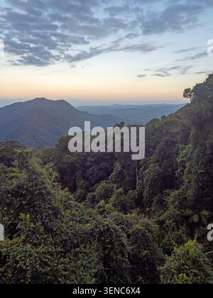 Vista sulla Bellinger Valley dallo Skywalk nel parco nazionale di Dorrigo Foto Stock