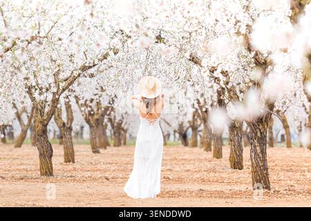 Donna che cammina tra mandorli in fiore in primavera, Catalogna, Spagna Foto Stock