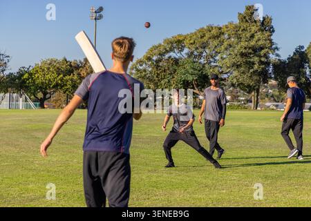 Squadra maschile diversificata che gioca a cricket nel parco, battitore che tiene la mazza, palla volare, abbigliamento sportivo, spazio per copiare. Outdoor, campo, erba, giocatori, abbigliamento sportivo, azione, schietto Foto Stock